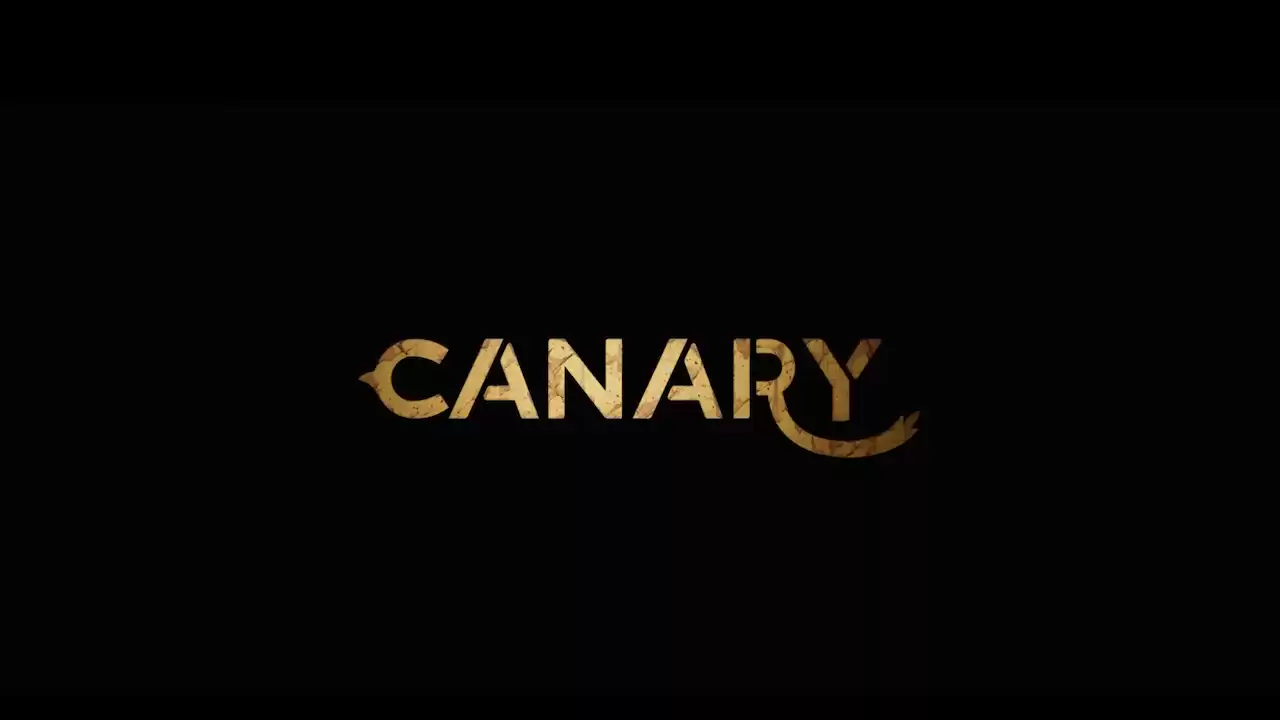 Canary by Pierre-Hugues Dallaire & Benoit Therriault